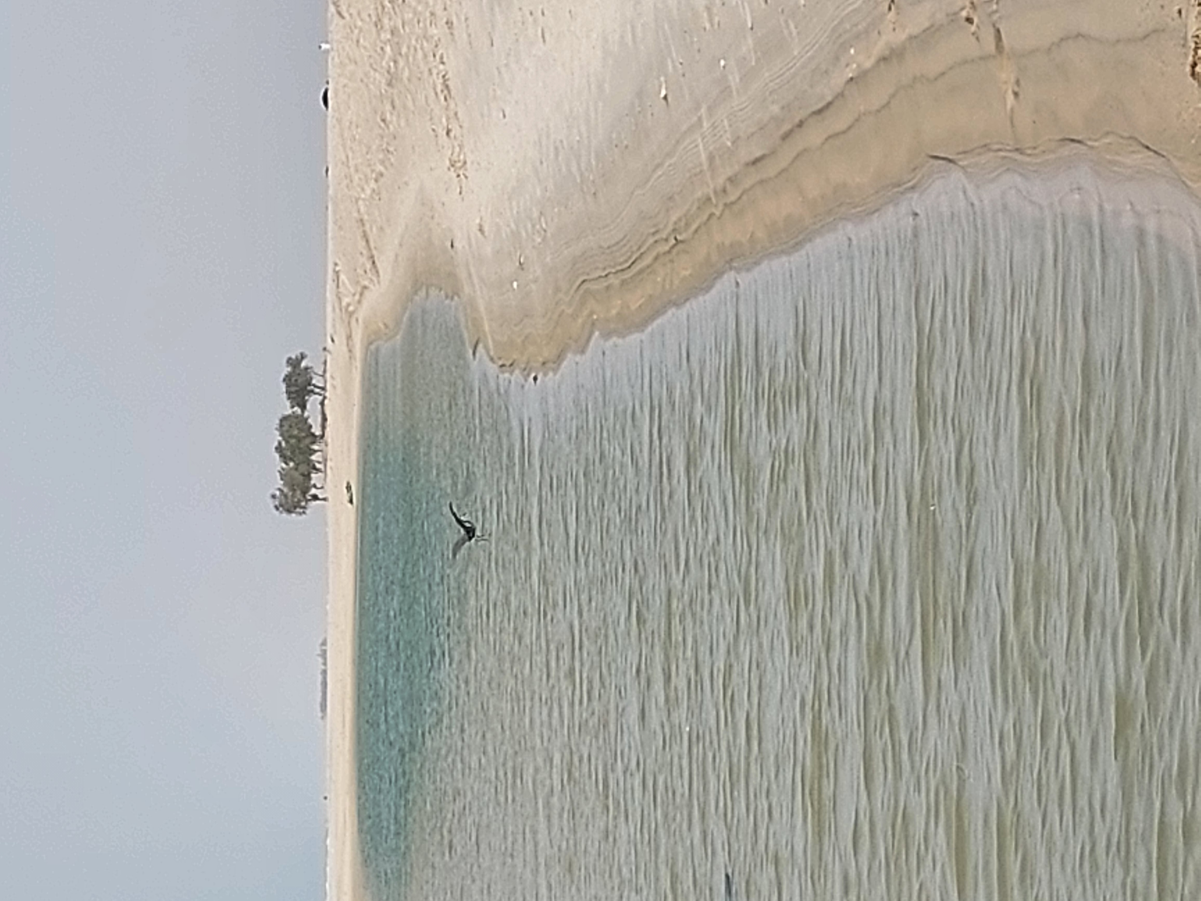 The horizon of the boarder Senegal-Mauritania. What's next? Image
